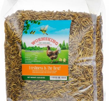 mealworms for reptiles