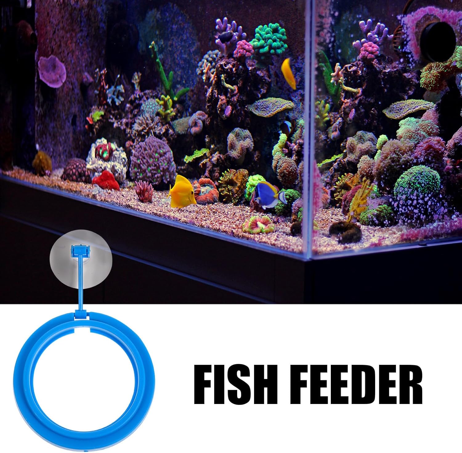 SUPVOX 3pcs Floating Fish Feeder Feeding Ring Fish Tank Supplies Blue Plastic Aquarium Accessory for Controlled Pellet Food Dispensing - Happypetzone.online - Image 8