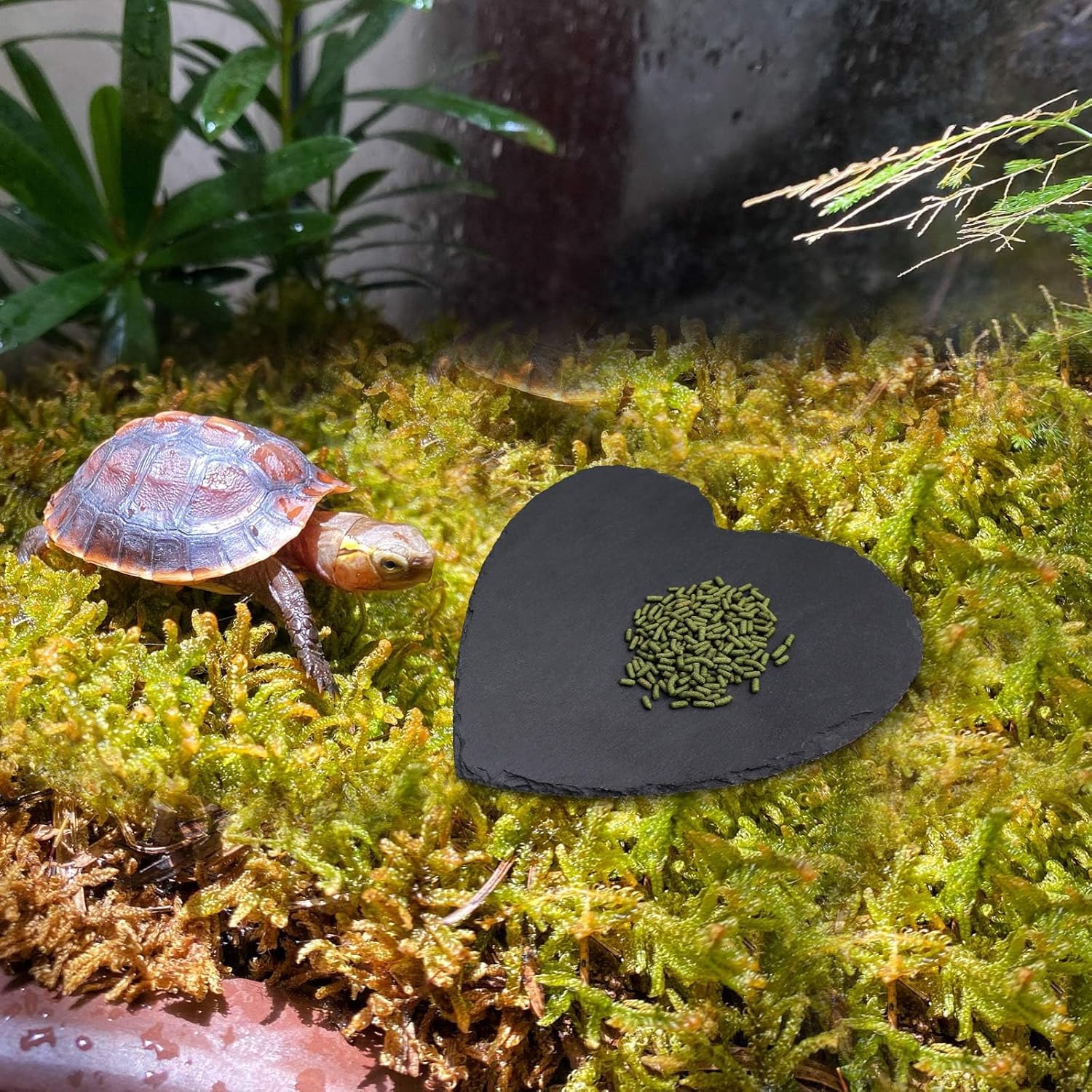 Reptile Basking Platform, 7.9 × 7.9 inch Tortoise Rock Plate, Heart Shape Natural Rock Reptile Food Dish, Turtle Feeding Bowl, Habitat Decor for Bearded Dragon Chameleon Frog Lizard Gecko Hermit Crab - Happypetzone.online - Image 3
