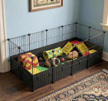 guinea pig habitat durable