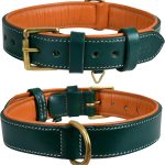 dog collar leather