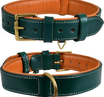 dog collar leather