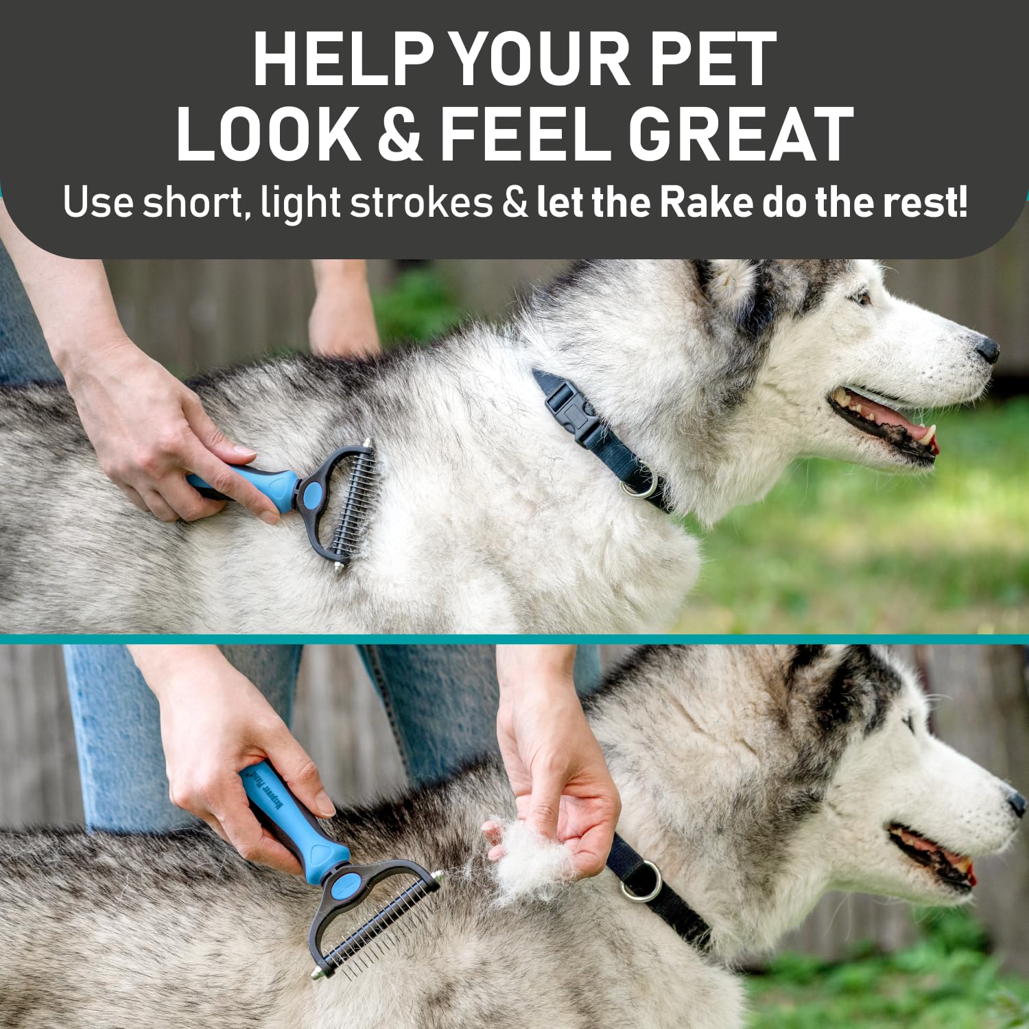 Maxpower Planet Pet Grooming Brush and 2X Grooming Gloves Combo - Double Sided Dematting, Deshedding Undercoat Rake for Dogs and Cats - Reduce Shedding Easily - Blue - Happypetzone.online - Image 4