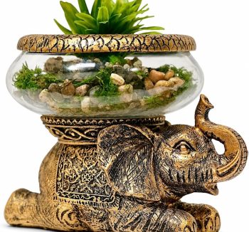 fish tank for home decor