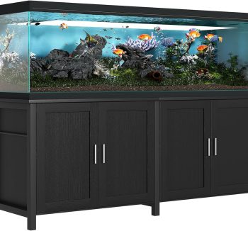 aquarium tank large