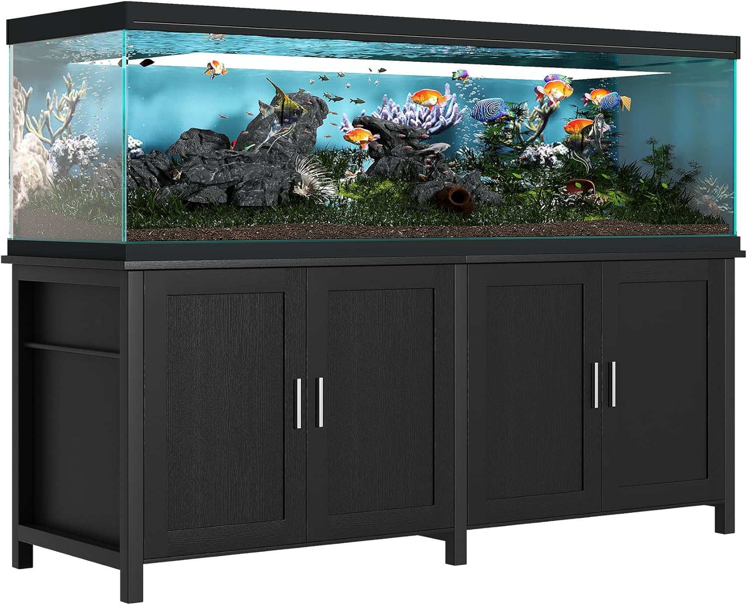 aquarium tank large
