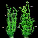 fish tank decorations plants