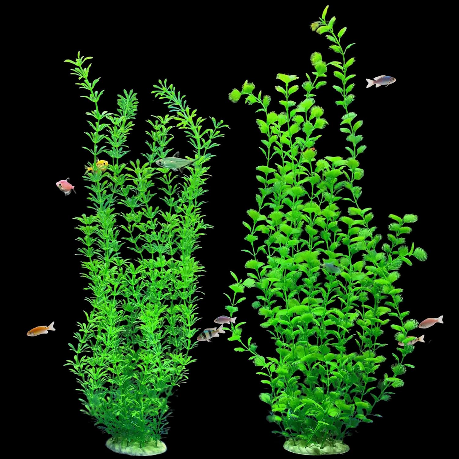 fish tank decorations plants