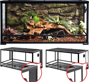 reptile tank terrarium