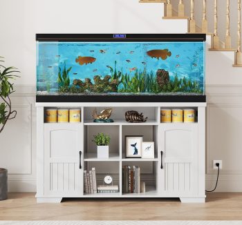 aquarium tank large