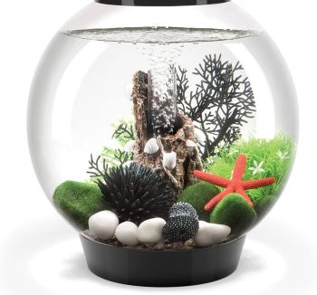 acrylic fish tank