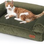 dog couch furniture