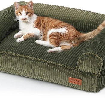 dog couch furniture
