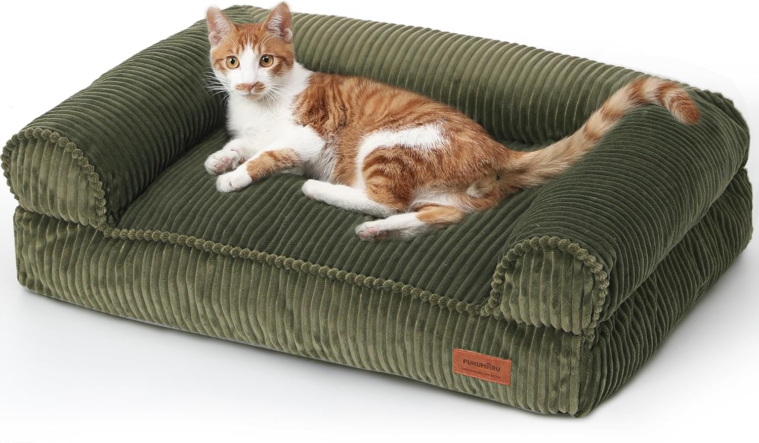 dog couch furniture