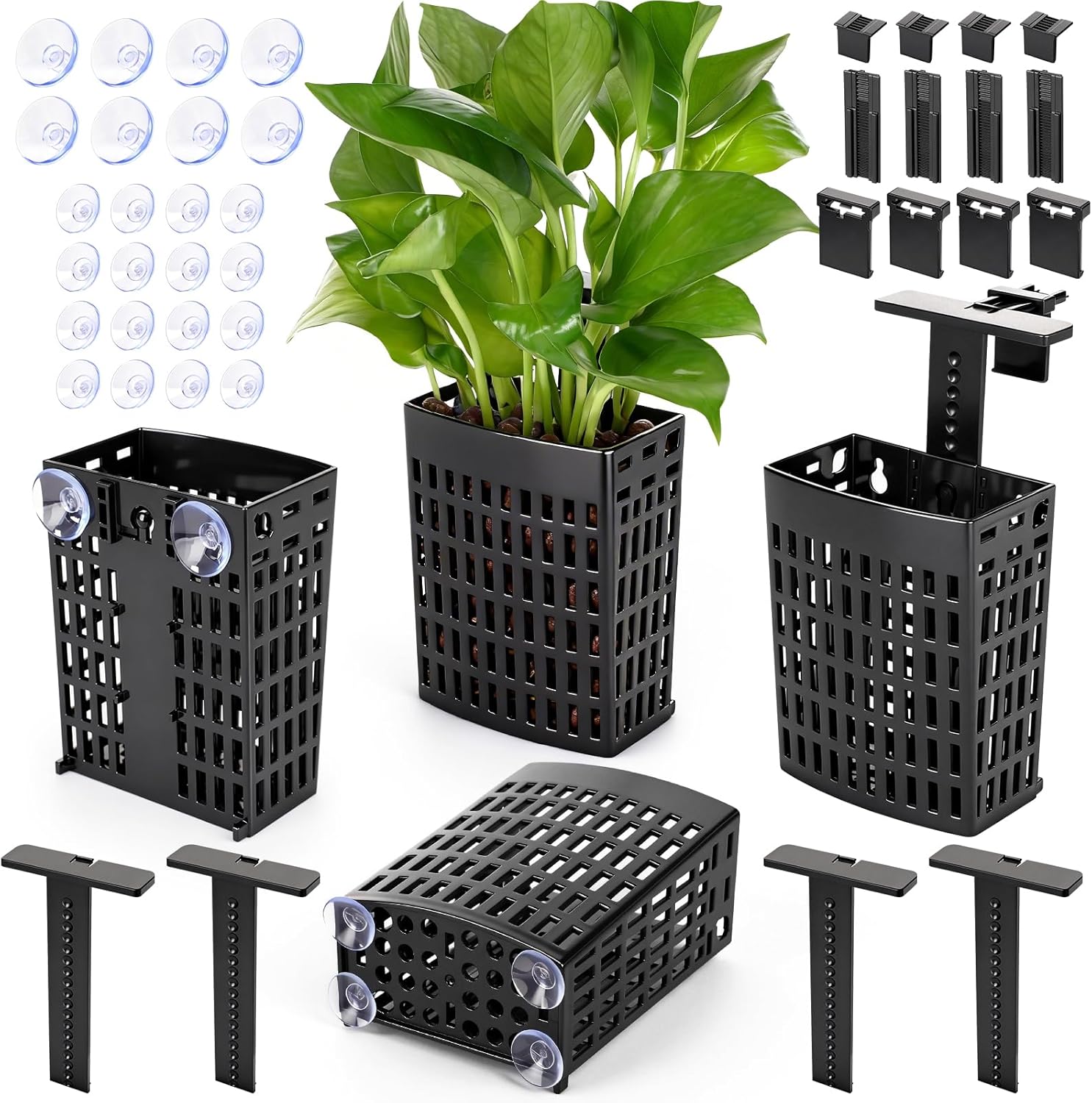 best aquarium tank 2026