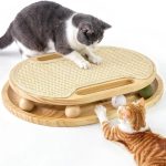 cat enrichment toys