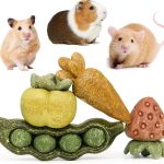 hamster treats healthy