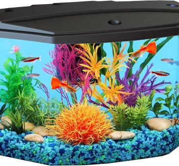aquarium starter bundle
