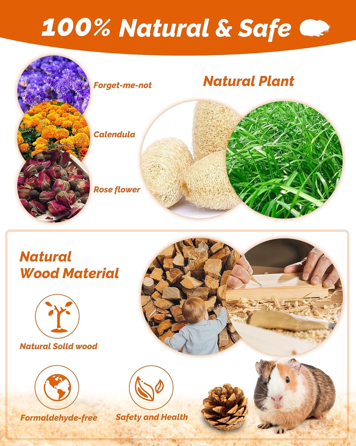 Hamster & Guinea Pig Toys - 18 Pcs Wooden Small Animal Chew Toys for Teeth - Rabbit, Chinchilla, Gerbils, Rats Exercise Accessories - Happypetzone.online - Image 4