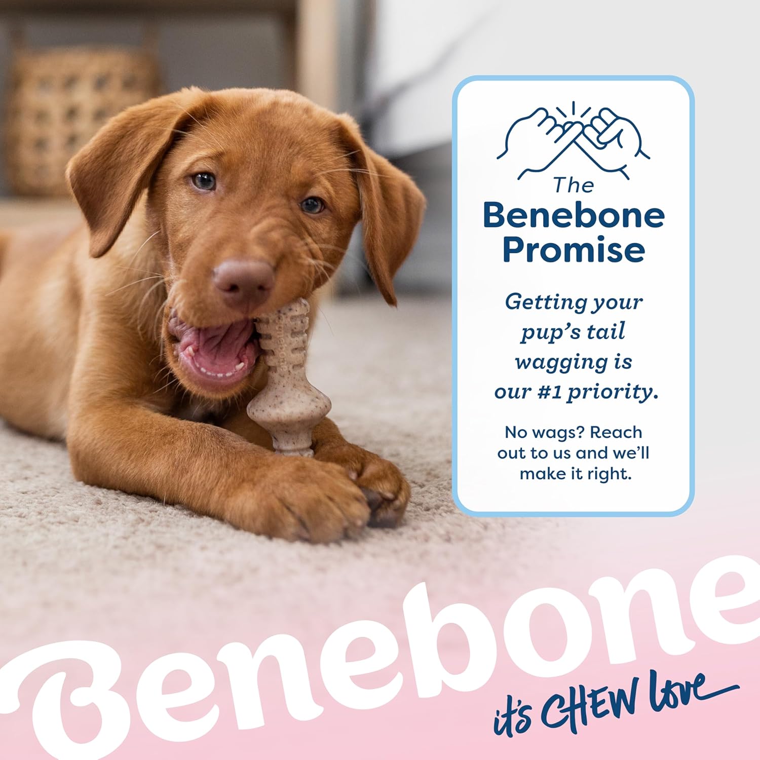 Benebone Puppy 2-Pack Maplestick/Zaggler Durable Dog Chew Toys for Gentle Chewers, Real Bacon, Real Maplewood, Made in USA, Tiny - Happypetzone.online - Image 6