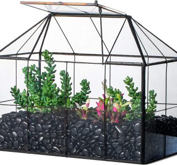 terrarium glass tank