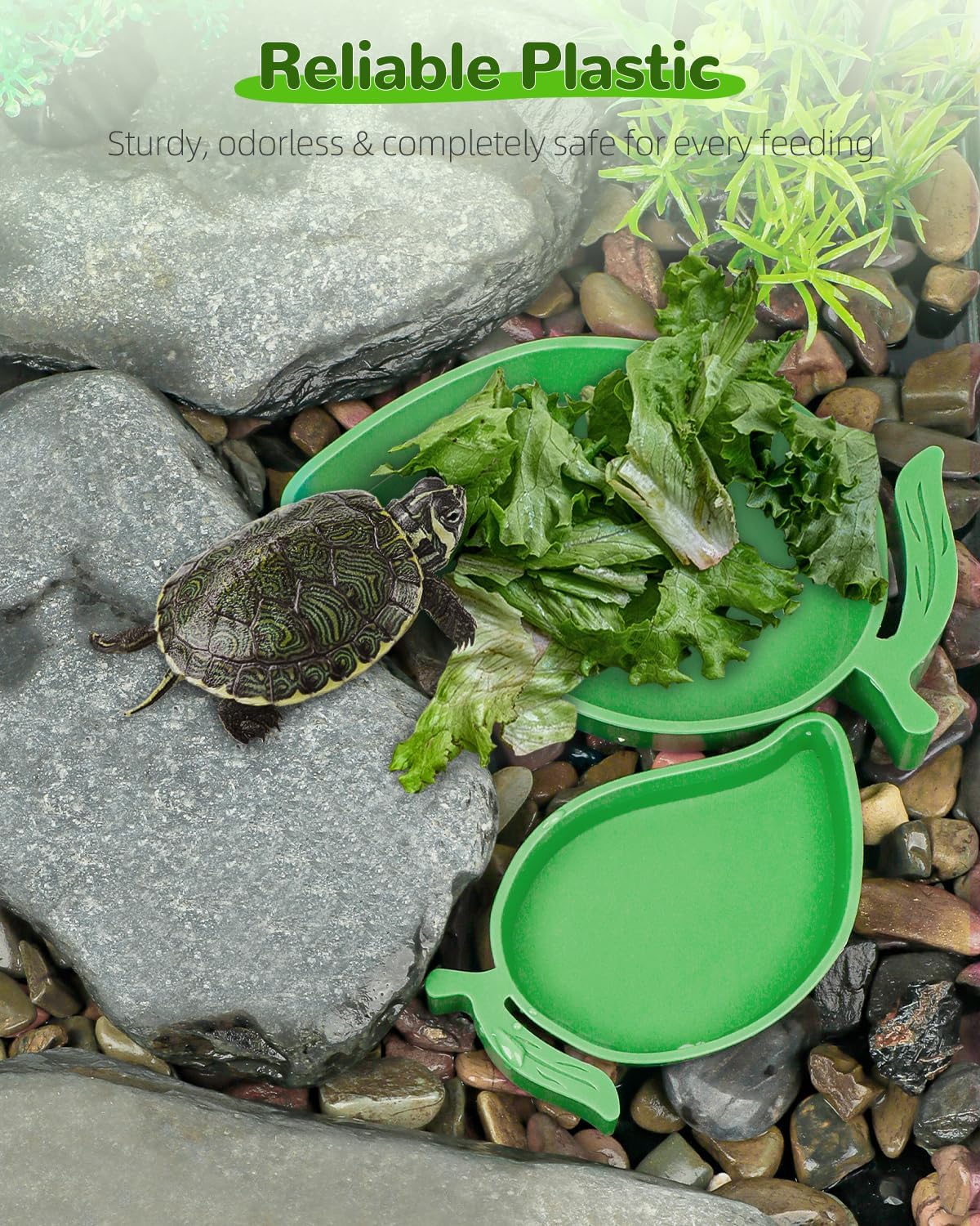 Pawfly 2 Pcs Reptile Water Bowl, Tortoise Water Dish, Food & Water Feeder, Cute Mango Feeding Dish, Tortoise Habitat Accessories for Turtle, Gecko, Bearded Dragon & Lizard, 2 Sizes - Happypetzone.online - Image 2