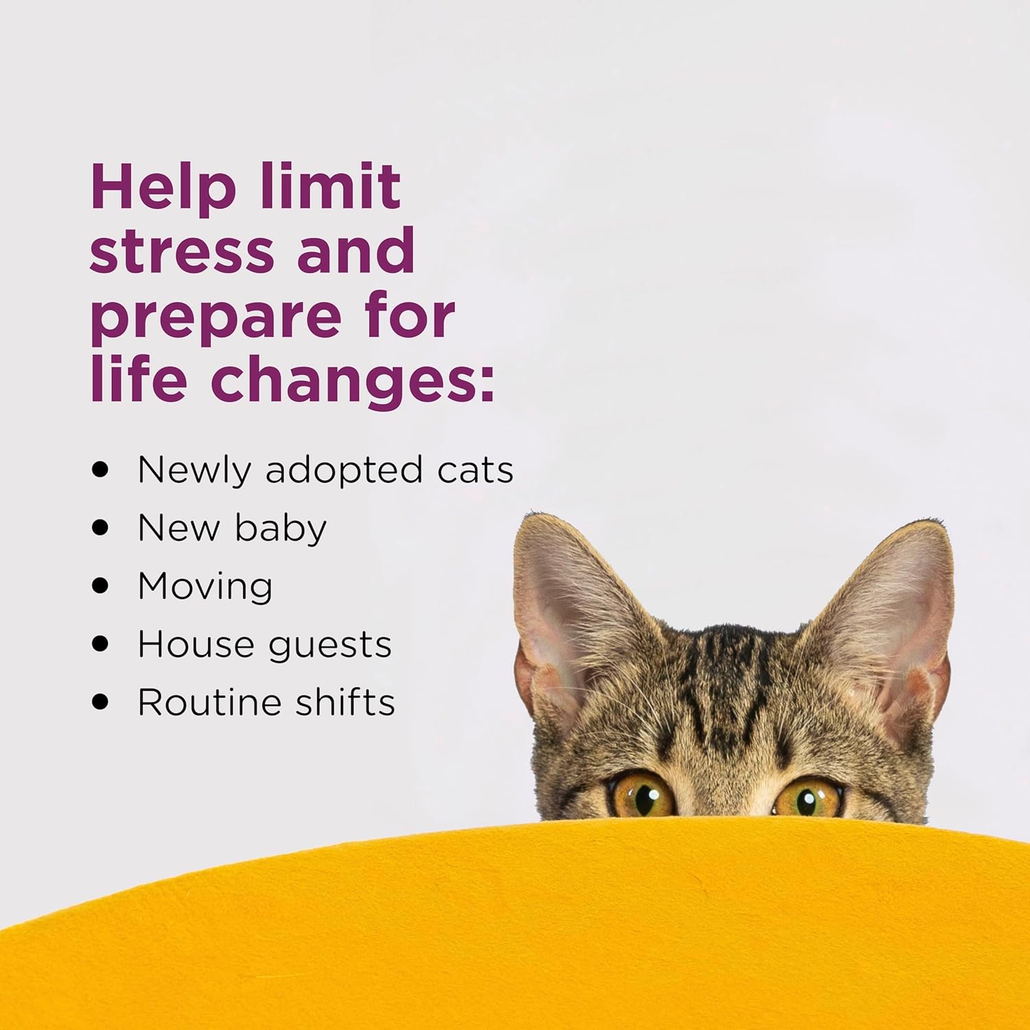 COMFORT ZONE Cat Calming Diffuser Refill, 2 Pack – Cat Calming Pheromone Refills Help Reduce Anxiety, Stress, Scratching, Urine Marking, Aggression, (30-Day Refills, 60-Day Supply) - Happypetzone.online - Image 3