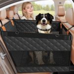 dog transport accessories