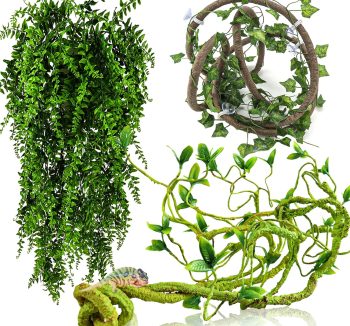 reptile tank decorations
