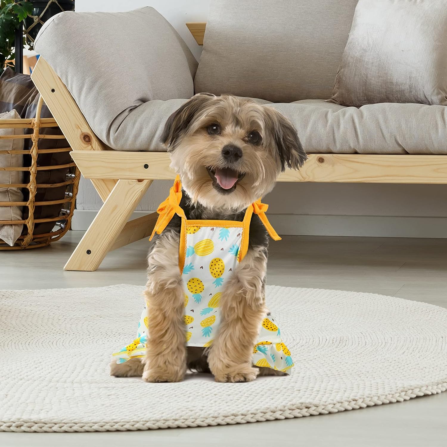 Frienda 4 Pieces Dog Clothes Set Include 2 Pcs Cute Pet Dress Lovely Dog Dress and 2 Pcs Breathable Pet T Shirt Puppy Clothes(Pineapple, Sunflower,Medium) - Happypetzone.online - Image 5