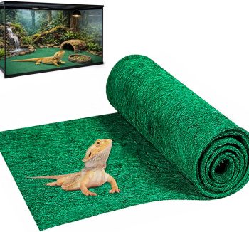 bearded dragon substrate