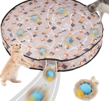 cat enrichment toys