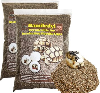 gecko substrate natural