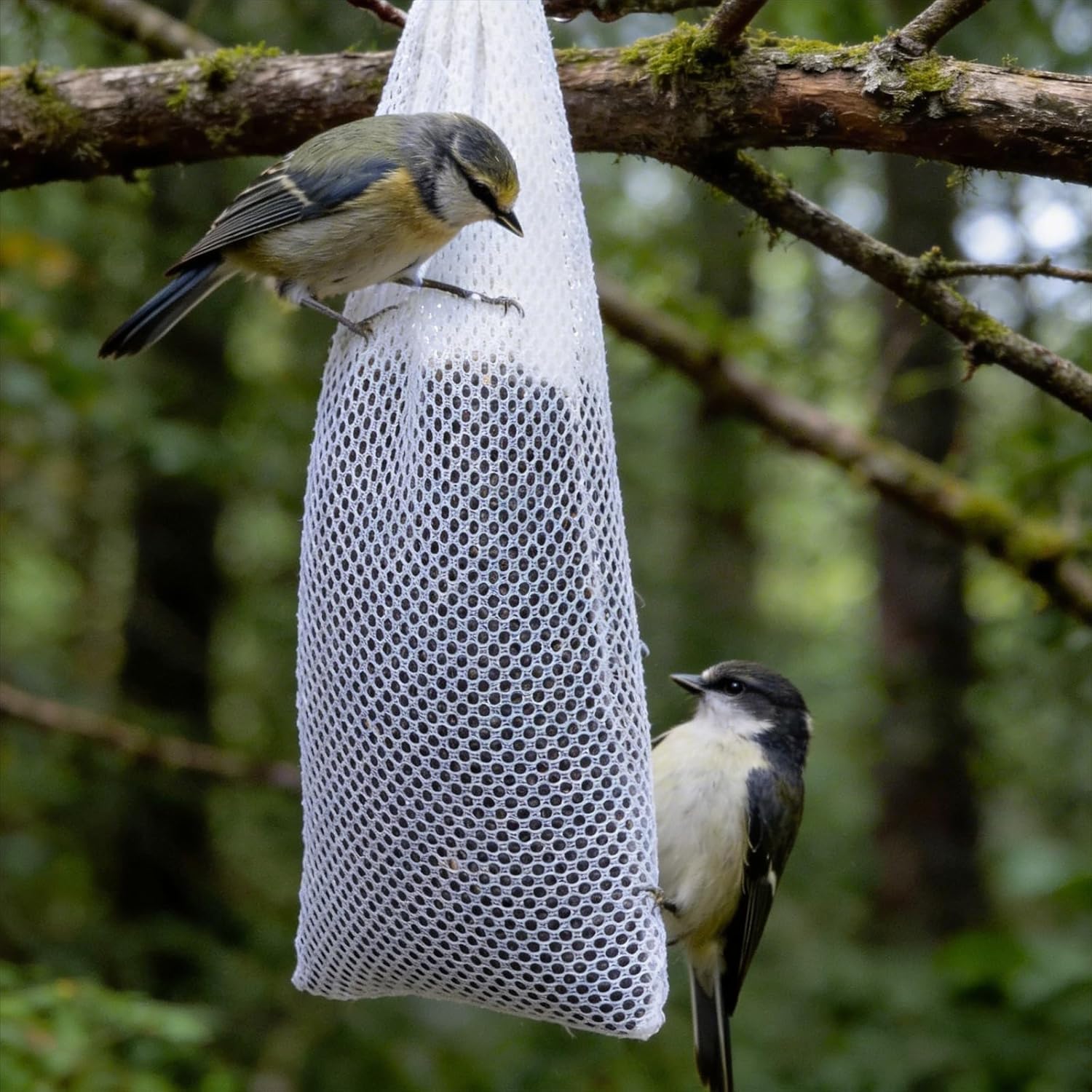 Xinjoduz 6 PCS Finch Sock Feeder for Outdoor, Durable Instant Thistle Seed Feeder Sacks Hanging Birds Feeders, Bird Food Supply Tools for Garden Yard Wild Finch Feeding (White, 3.94 x 15.5 Inch) - Happypetzone.online - Image 7
