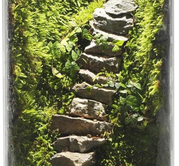 terrarium glass tank
