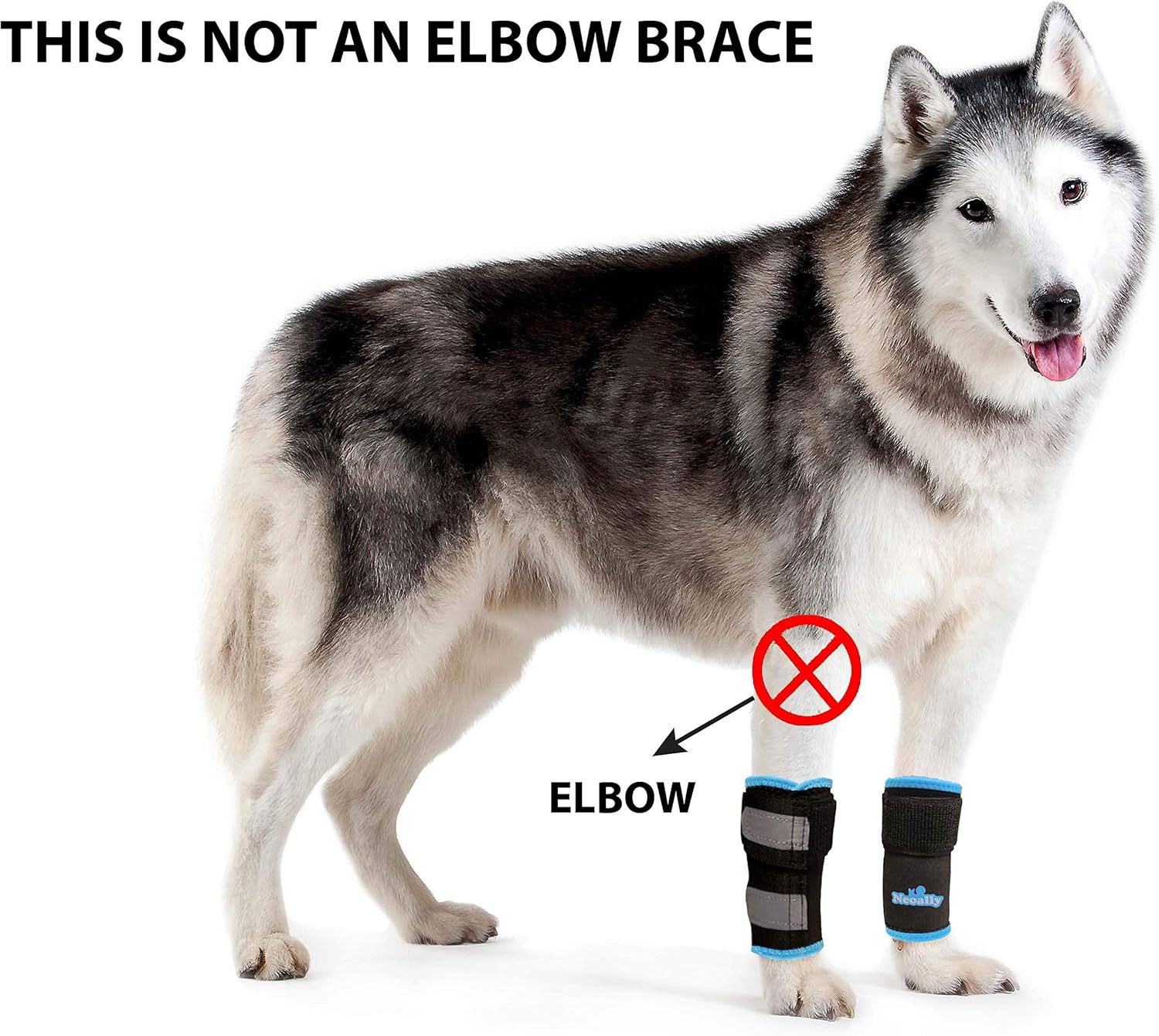 NeoAlly Dog Braces Front Leg Carpal Support Canine Wrist Braces with Safety Reflective Straps for Limping, Joint Pain, Lameness, and Loss of Stability from Arthritis (S/M Pair) - Happypetzone.online - Image 3