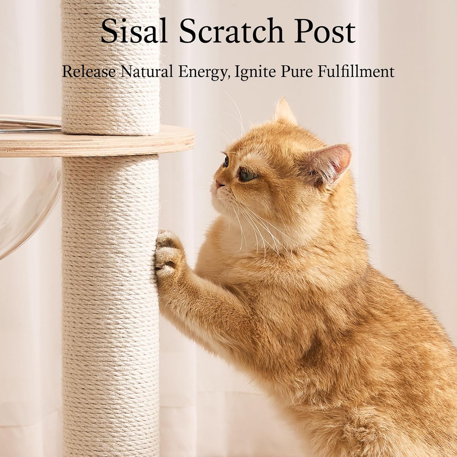 797Audio Modern Solid Wood Cat Tree Tower, 49" Tall Cat Tree with Sisal Scratching Posts and Capsule for Adult Cats, Natural Oak Wooden Cat Tower,Aesthetic Multi-Level Cat Climbing Tree for Indoor Cat - Happypetzone.online - Image 4