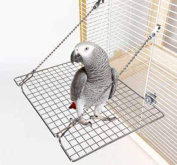 bird perch accessories