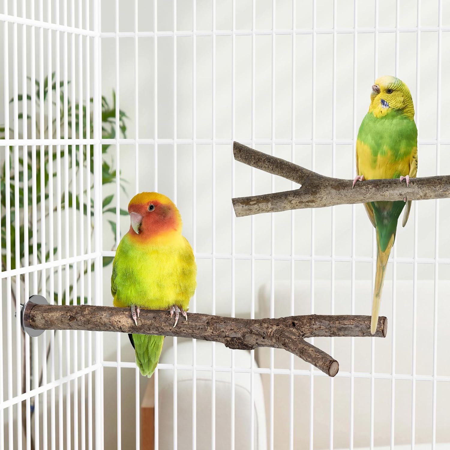 Niteangel Natural Wooden Perches for Bird Cages - Ideal for Cockatiels, Parakeets, Finches & Other Caged Birds (Natural Bark, 2 Pack) - Happypetzone.online - Image 3