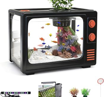 small fish tank desktop