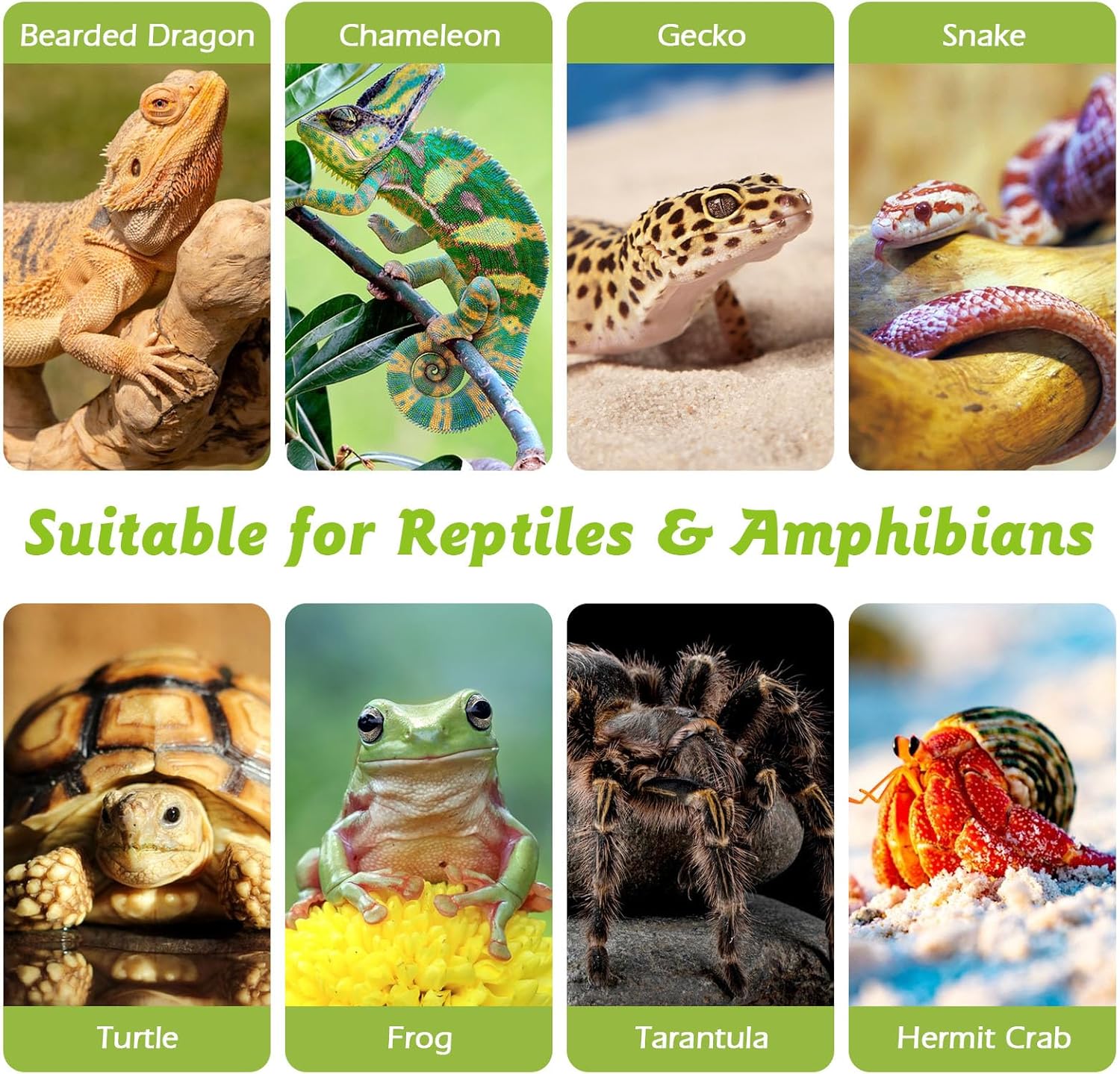 Reptile Cork Bark Bulk 1 Lb Reptile Bark Bedding Natural Flat Cork Wood Pieces Terrarium Substrate Tank Supplies for Bearded Dragon Snake Spiders Hermit Crabs Geckos Tortoise - Happypetzone.online - Image 7
