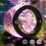 betta fish food