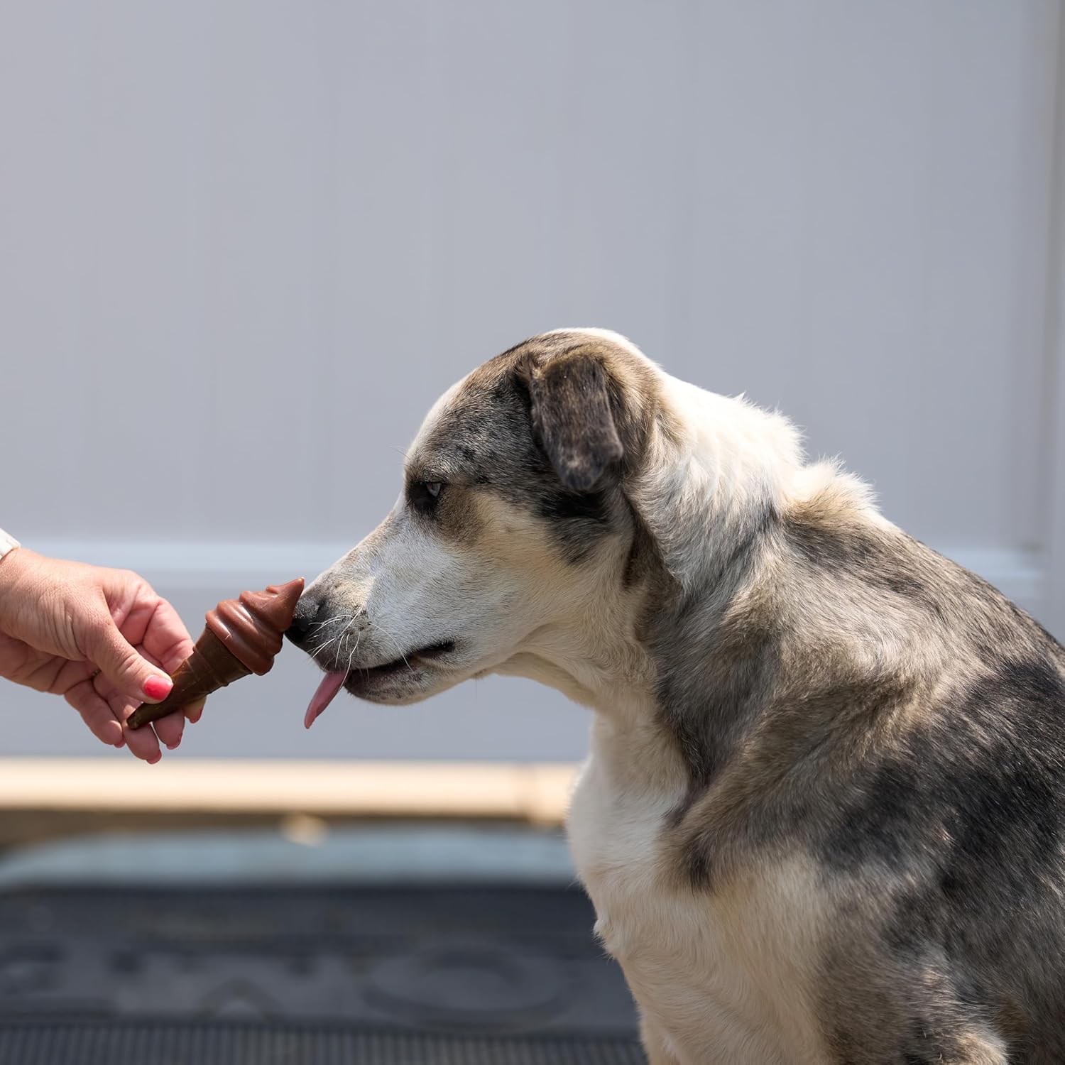 SPOT Pup Ice- Ready to Freeze at Home Dog Treats-Edible Chews for Medium Breed Dogs & Puppies with Real Chicken to Keep Your Pup Cool Year Round, Waffle Cone Strawberry Flavor, 2pcs - Happypetzone.online - Image 13