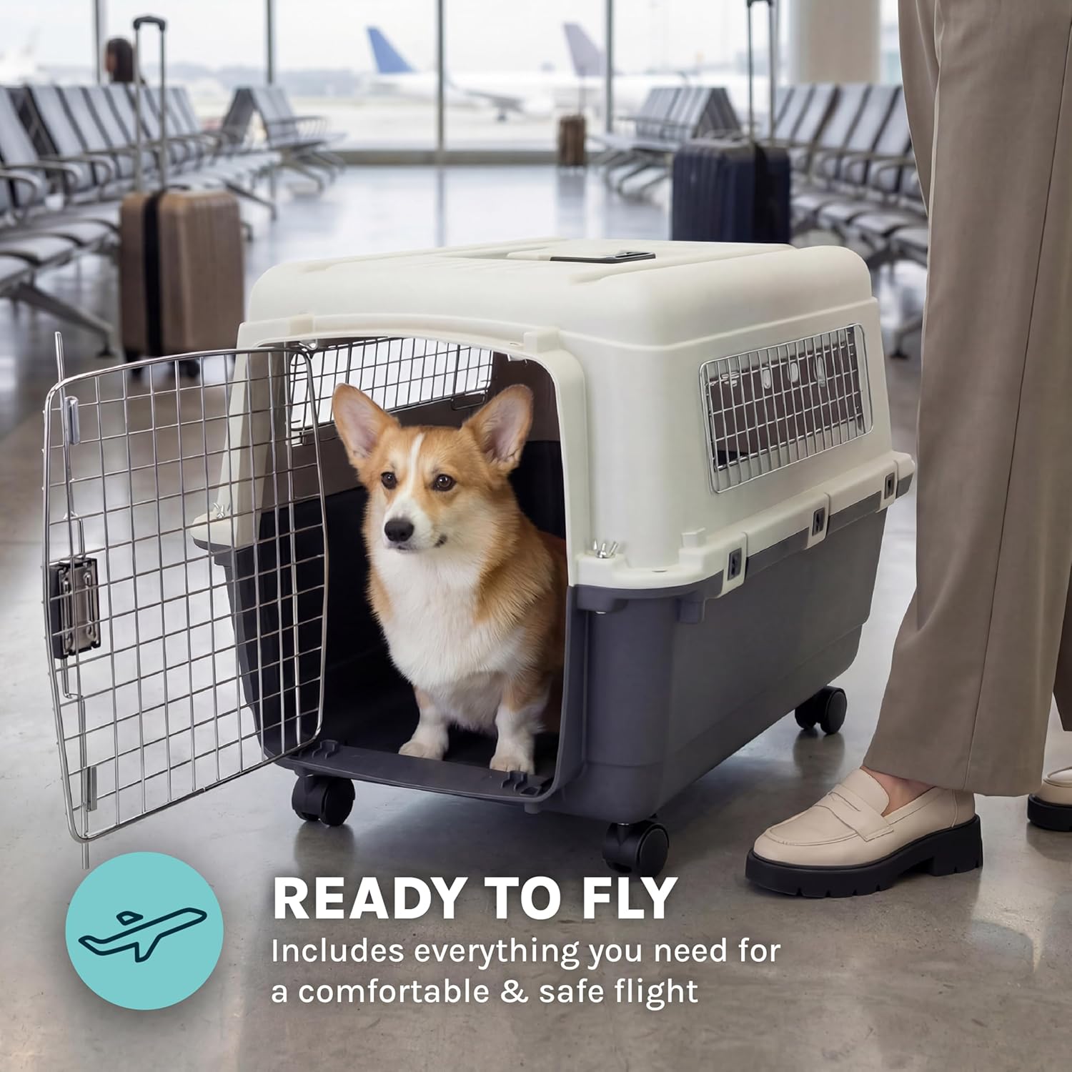 SportPet Airline Compliant MEDIUM 24.25" Travel Dog Kennel-Durable Plastic Airline Pet Carrier w/Removable Wheels & Food Bowls, Collapsible Indoor/Outdoor Dog Kennel, Dogs up to 23"L & 15"H-Cream/Gray - Happypetzone.online - Image 6