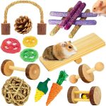 hamster toys interactive