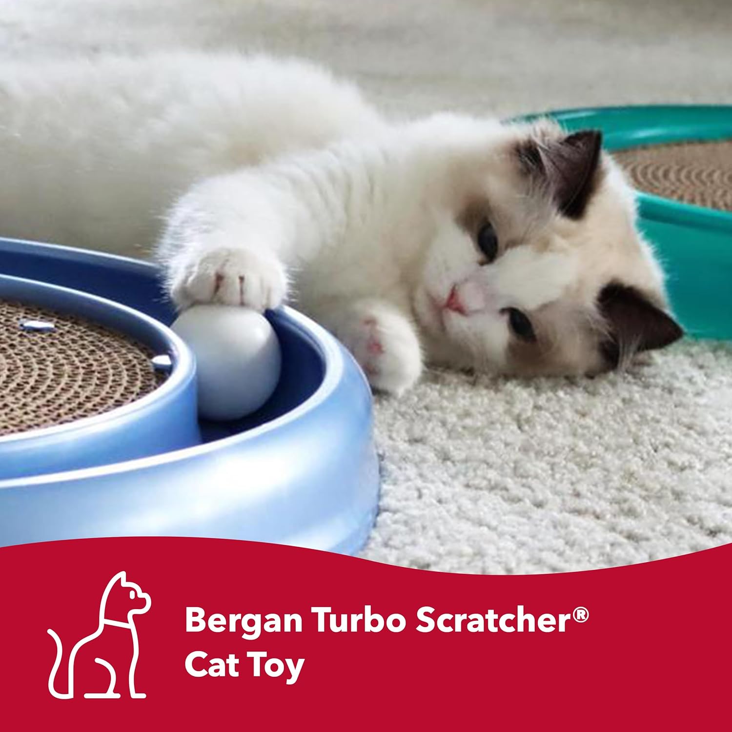 Coastal Pet Turbo Scratcher Cat Toy - Cardboard Cat Scratcher Pad with Cat Toy Ball Track and Catnip (1 Pack) - Happypetzone.online - Image 2