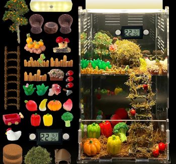 live insects for reptiles