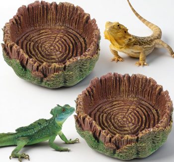 bearded dragon food