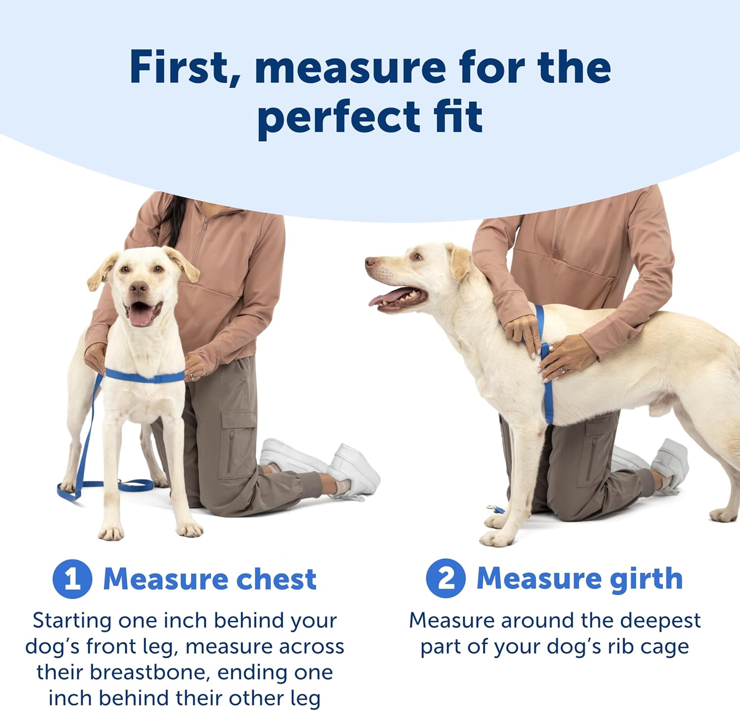 PetSafe Easy Walk No-Pull Dog Harness - Ultimate Harness to Help Stop Pulling - Pull-Free Walks - Take Control & Teach Better Leash Manners - Patented Martingale Loop Design - Raspberry, Medium/Large - Happypetzone.online - Image 5
