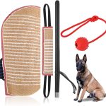 best dog training equipment
